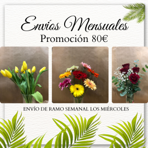 Suscripción Mensual