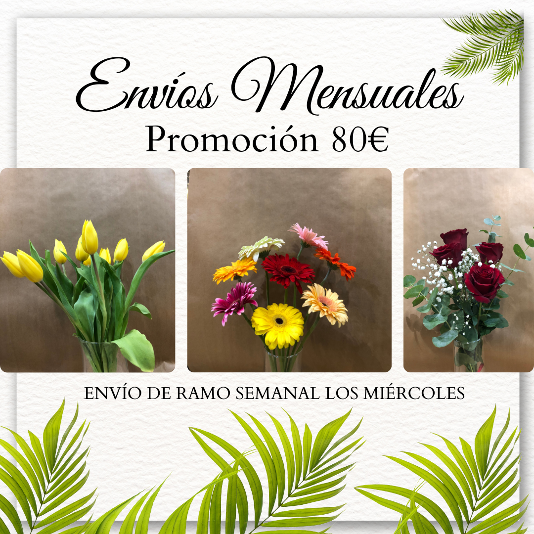 Suscripción Mensual