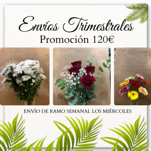 Suscripción Trimestral