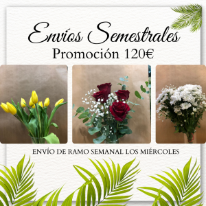 Suscripción Semestral