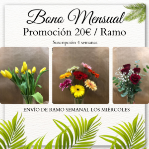 Suscripción Mensual