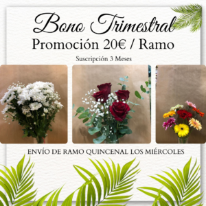 Suscripción Trimestral