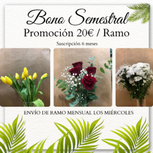 Suscripción Semestral