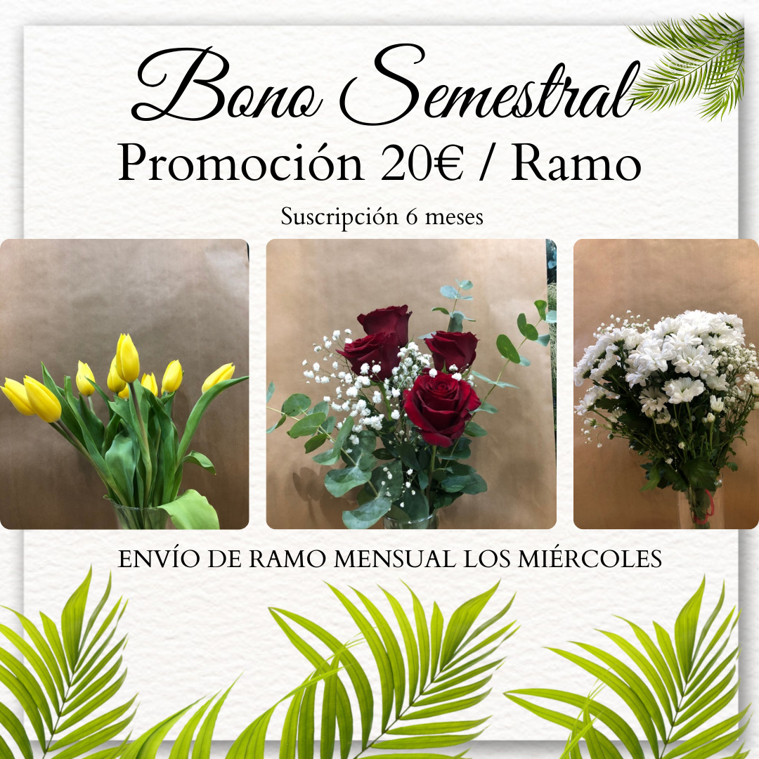 Suscripción Semestral