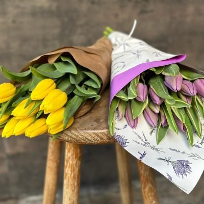 WhatsApp Image 2024-03-12 at 12.43.05