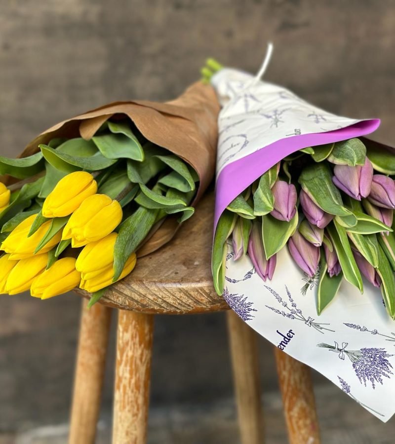 WhatsApp Image 2024-03-12 at 12.43.05