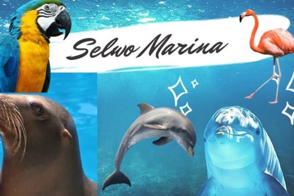 maxresdefault-1024x576